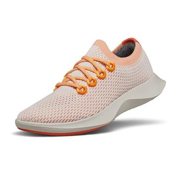 Allbirds Tree Dasher 1 Loopschoenen Dames Roze Grijs | BE1295EB