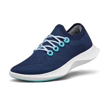 Allbirds Tree Dasher 1 Loopschoenen Heren Blauw Wit | BE1713QM